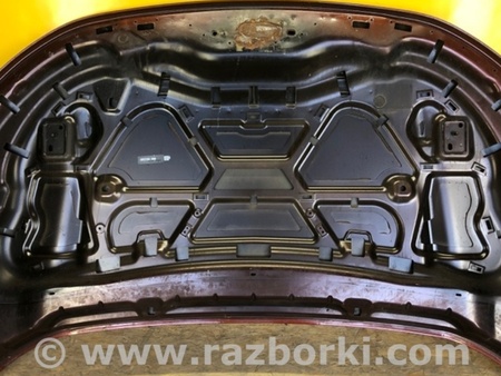 ФОТО Капот для Ford Edge 2 (02.2015-...) Киев
