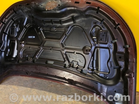ФОТО Капот для Ford Edge 2 (02.2015-...) Киев