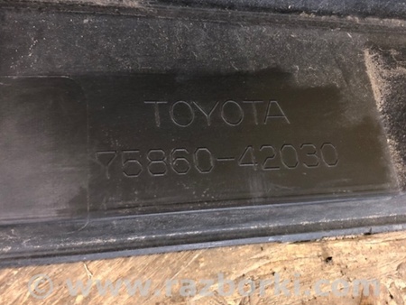 ФОТО Накладка порогу зовнішня для Toyota RAV-4 (2018-) Киев