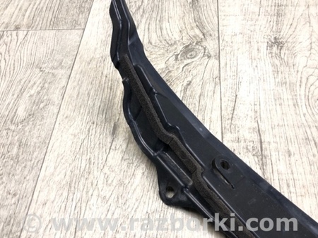 ФОТО Пильовик крила для Honda Accord CU (12.2008 - 03.2013) Киев