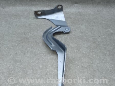 ФОТО Петля капоту для Honda Accord CL (10.2002 - 11.2008) Киев