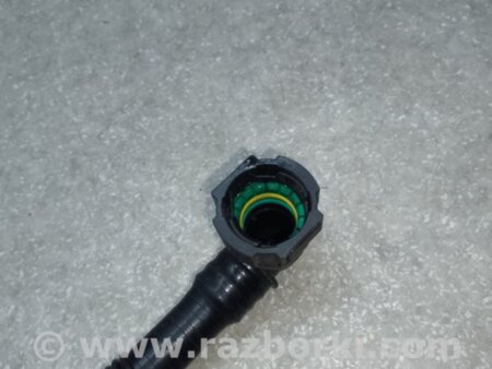 ФОТО Шланги топливной системы для Honda Accord CL (10.2002 - 11.2008) Киев