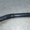 ФОТО Шланги топливной системы для Honda Accord CL (10.2002 - 11.2008) Киев
