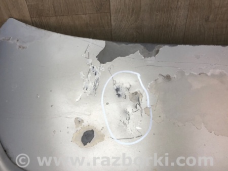 ФОТО Кришка багажника для Lexus HS 250h Киев
