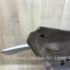 ФОТО Кришка багажника для Dodge Charger (05-10) Киев