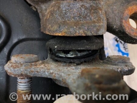 ФОТО поворотний кулак для Volkswagen Beetle A5 5C1 (09.2011-11.2016) Киев