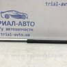 ФОТО Амортизатор кришки багажника для Suzuki SX4 Киев