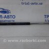 ФОТО Амортизатор кришки багажника для Mitsubishi ASX Киев