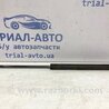 ФОТО Амортизатор кришки багажника для Toyota Avensis T270 (10.2008-12.2012) Киев