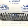 ФОТО Грати бампера центральна для Suzuki Grand Vitara Киев