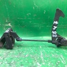 ФОТО Ручка открывания капота для Lexus ES300/ES330 (01-06) Киев
