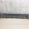 ФОТО Решетка переднего бампера для Ford Edge 1 U387 (01.2006-04.2015) Киев