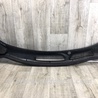 ФОТО Пластик под лобовое стекло (Жабо) для Ford Fiesta Mk6 (2008-2017) Киев