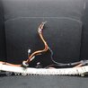ФОТО Проводка высоковольтной батареи для Toyota Camry 40 XV40 (01.2006-07.2011) Киев