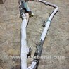 ФОТО AirBag шторка для Mazda CX-9 TB (2007-2016) Киев