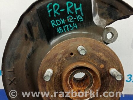 ФОТО Кулак поворотный для Acura RDX TB3, TB4 (03.2012-12.2015) Киев