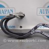 ФОТО Петля крышки багажника для Acura ILX (2012-2016) Киев