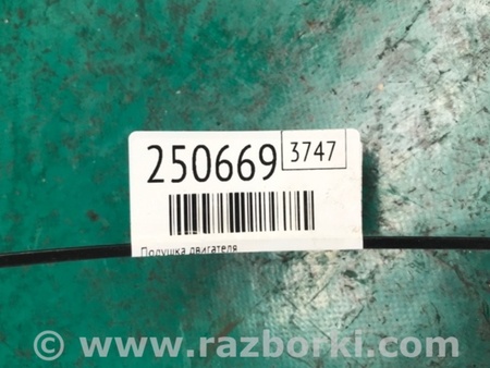 ФОТО Подушка для Subaru Forester SG Киев
