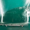 ФОТО Стекло двери для Toyota RAV-4 (05-12) Киев