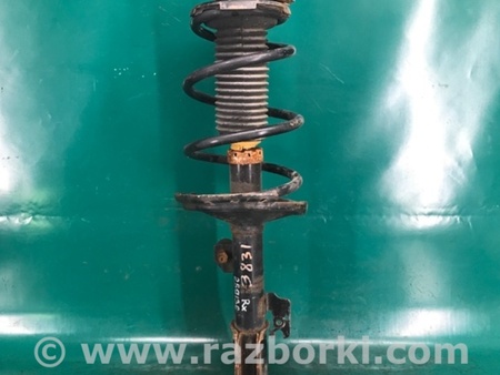 ФОТО Амортизатор для Lexus RX300/330/350/400 (03-09) Киев
