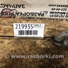ФОТО Рычаг задний нижний поперечный для Acura RL (1995-2012) Киев