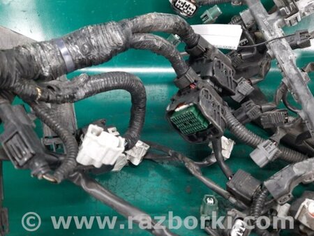 ФОТО Проводка моторного отсека для Acura RDX TB3, TB4 (03.2012-12.2015) Киев