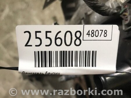 ФОТО Двигатель бензиновый для Ford Focus 3 (01.2010 - 03.2018) Киев