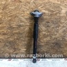 ФОТО Амортизатор для Volkswagen Jetta USA (10-17) Киев