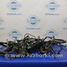 ФОТО Проводка моторного отсека для Acura RDX TB3, TB4 (03.2012-12.2015) Киев