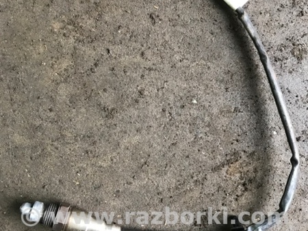 ФОТО Датчик кислородный для Audi (Ауди) A4 V B9 - 8W (2015-) Київ