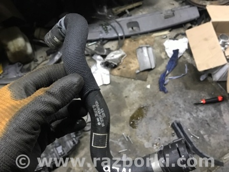 ФОТО Патрубок термостата для Audi (Ауди) A4 V B9 - 8W (2015-) Київ