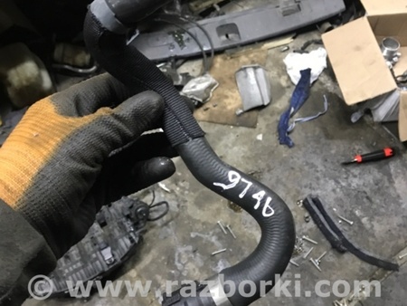 ФОТО Патрубок термостата для Audi (Ауди) A4 V B9 - 8W (2015-) Київ