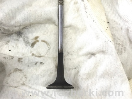 ФОТО Клапан выпускной для Audi (Ауди) A3 III 8V (12-20) Київ