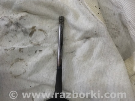 ФОТО Клапан выпускной для Audi (Ауди) A3 III 8V (12-20) Київ