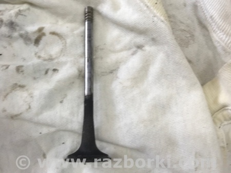 ФОТО Клапан выпускной для Audi (Ауди) A3 III 8V (12-20) Київ