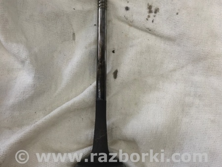 ФОТО Клапан выпускной для Audi (Ауди) A3 III 8V (12-20) Київ