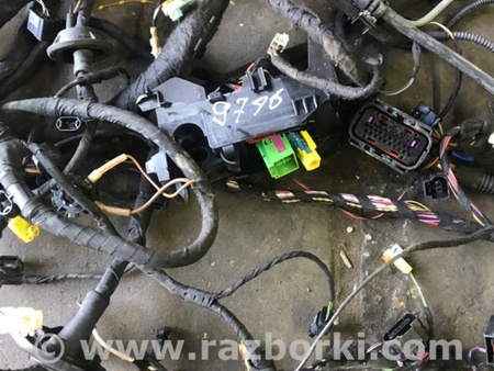 ФОТО Проводка салона для Audi (Ауди) A4 V B9 - 8W (2015-) Київ