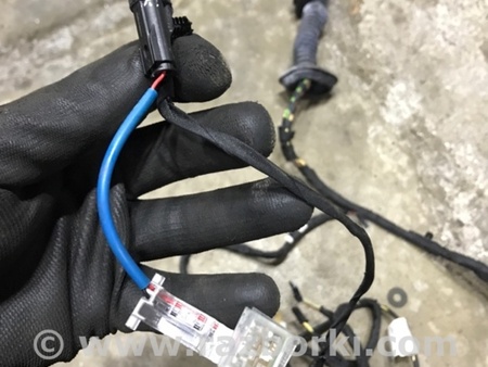 ФОТО Проводка двери для BMW 3 F30 +рестайл (11-18) Київ