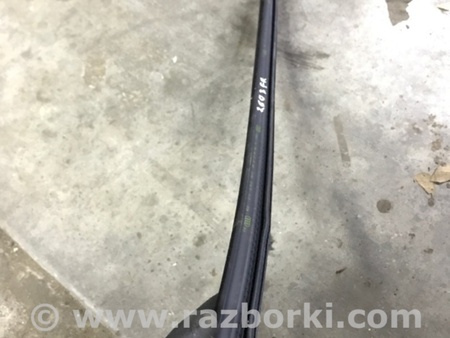 ФОТО Уплотнитель стекла двери для Audi (Ауди) A3 III 8V (12-20) Київ