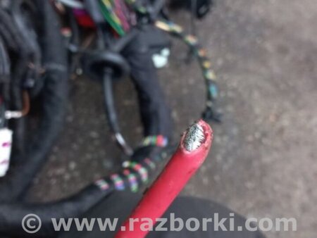 ФОТО Проводка салона для Audi (Ауди) A4 V B9 - 8W (2015-) Київ