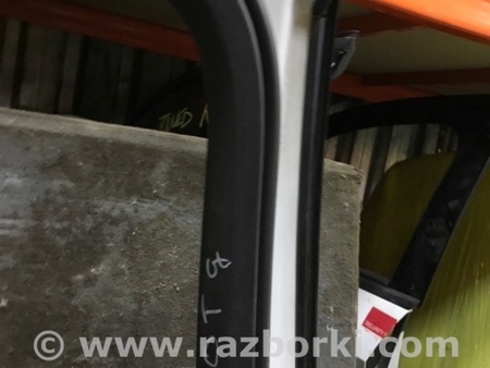 ФОТО Молдинг двери для Audi (Ауди) A3 III 8V (12-20) Київ