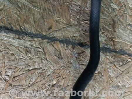 ФОТО Трубка топливная для Volkswagen Atlas/Teramont I +1 рест (17-23) Київ