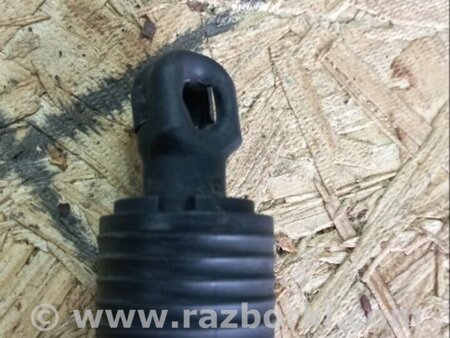 ФОТО Амортизатор двери багажника для Porsche Macan I 95B +FL (13-18) Київ