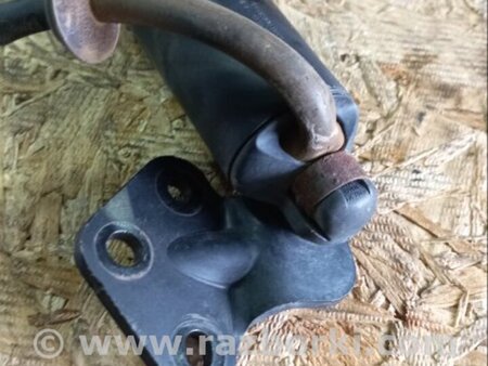 ФОТО Амортизатор двери багажника для Porsche Macan I 95B +FL (13-18) Київ