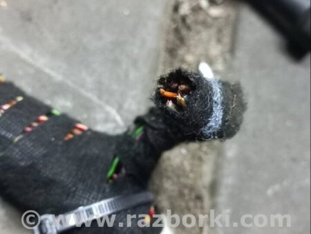 ФОТО Электропроводка для Audi (Ауди) A3 III 8V (12-20) Київ