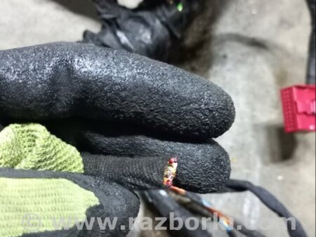 ФОТО Электропроводка для Audi (Ауди) A3 III 8V (12-20) Київ