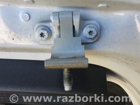 ФОТО Петля двери багажника для Volkswagen Atlas/Teramont I +1 рест (17-23) Київ