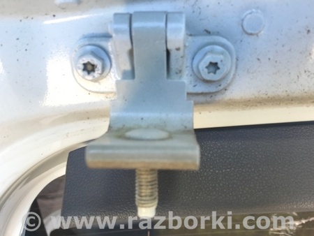 ФОТО Петля двери багажника для Volkswagen Atlas/Teramont I +1 рест (17-23) Київ