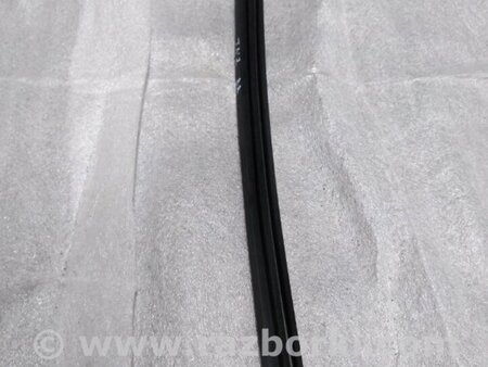 ФОТО Уплотнитель стекла двери для Audi (Ауди) A4 V B9 - 8W (2015-) Київ