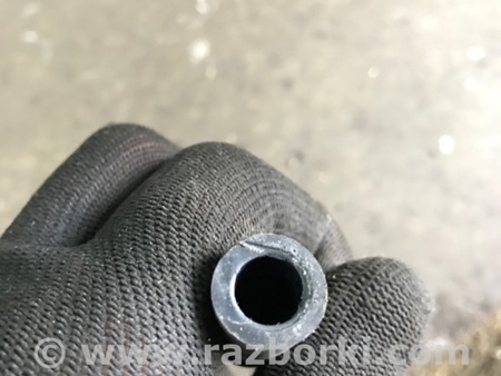 ФОТО Трубка топливная для Audi (Ауди) A3 III 8V (12-20) Київ